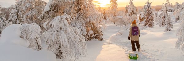 Intrepid Scandi Competition